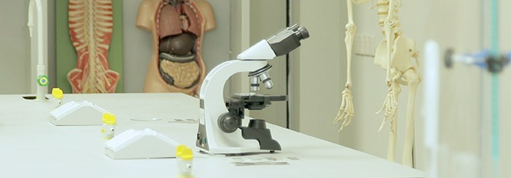 biomedical